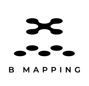 Copy of vektor_bmapping_logo
